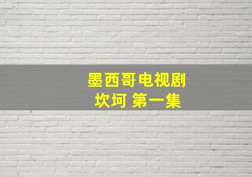 墨西哥电视剧 坎坷 第一集